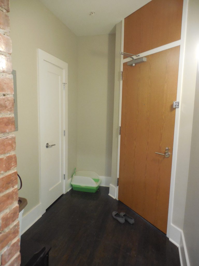 A hallway with a door open and a green bowl on the floor.