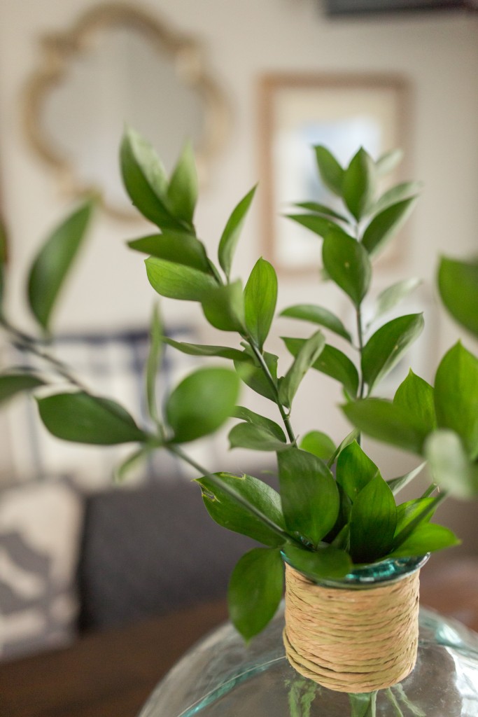 A plant in a vase on the table