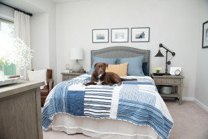 A dog laying on the bed of a bedroom.