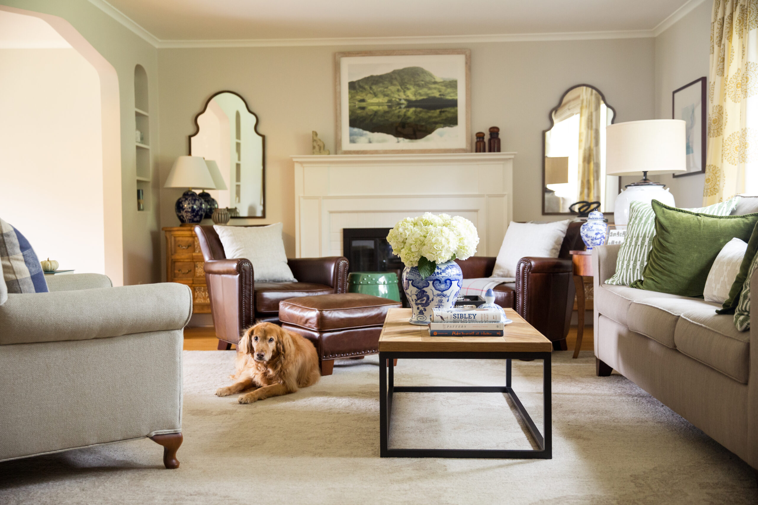 A living room with two large mirrors and a dog laying on the floor.