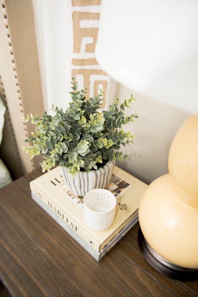 A plant on top of a book next to a cup.